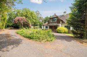 Photo 31- click for photo gallery